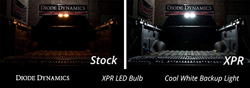 Diode Dynamics 921 XPR Cool White Backup LED Bulbs