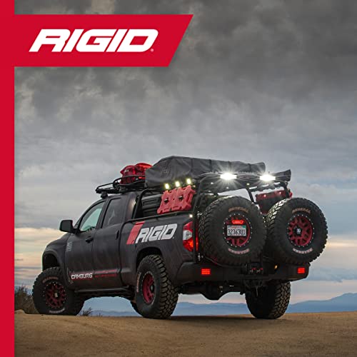 Rigid Industries - White DC Scene Floodlight (1x2 65 Degree ) One Size For Auto, RV, ATV